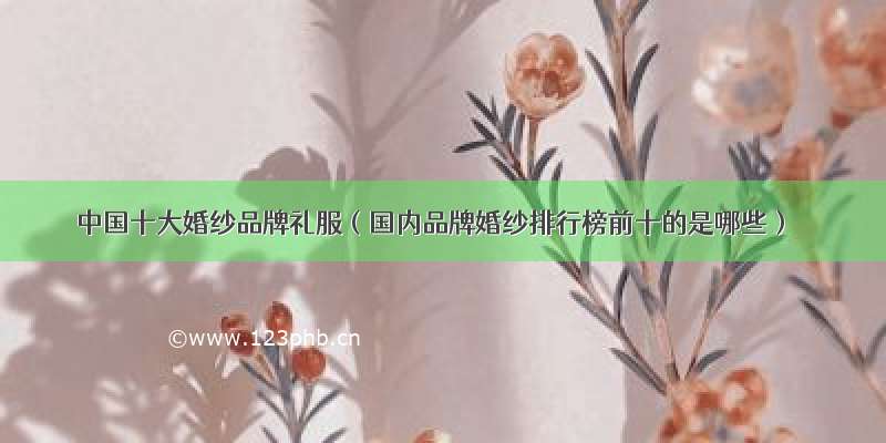 中国十大婚纱品牌礼服（国内品牌婚纱排行榜前十的是哪些）