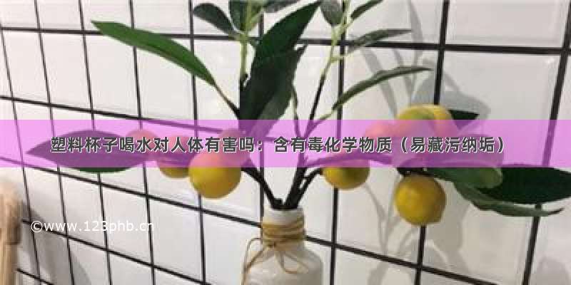 塑料杯子喝水对人体有害吗：含有毒化学物质（易藏污纳垢）