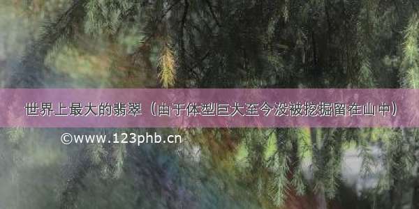 世界上最大的翡翠（由于体型巨大至今没被挖掘留在山中）