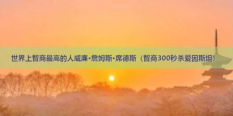 世界上智商最高的人威廉·詹姆斯·席德斯（智商300秒杀爱因斯坦）