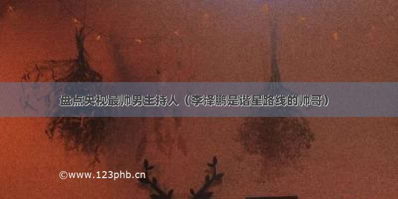 盘点央视最帅男主持人（李泽鹏是谐星路线的帅哥）