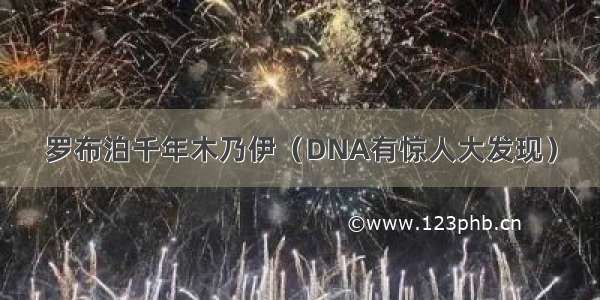 罗布泊千年木乃伊（DNA有惊人大发现）