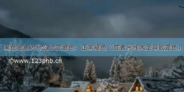 黑色金鱼为什么会变金色：正常褪色（或者光线太足导致变色）