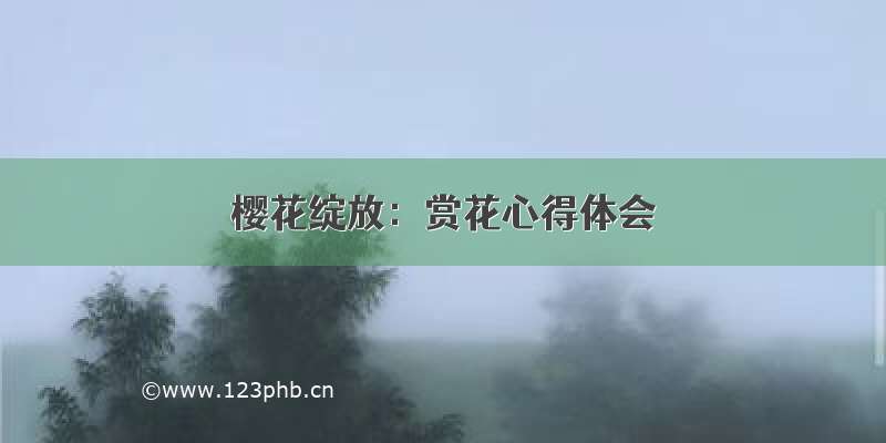 樱花绽放：赏花心得体会