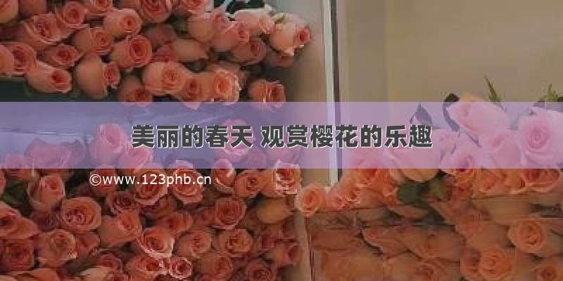 美丽的春天 观赏樱花的乐趣