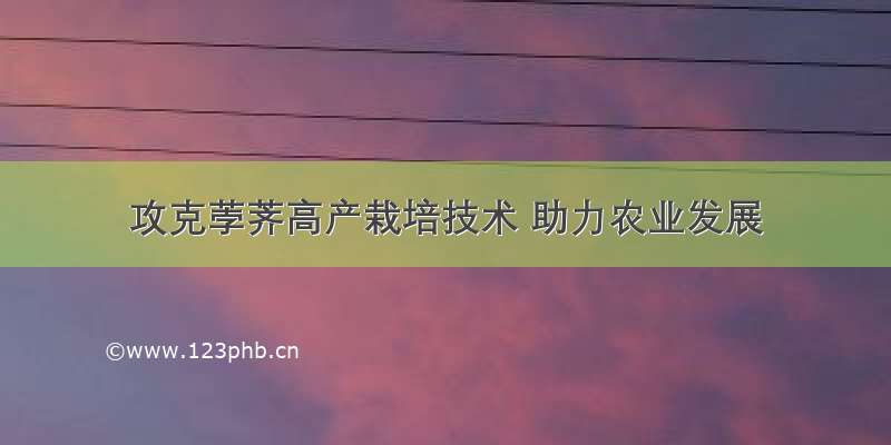 攻克荸荠高产栽培技术 助力农业发展