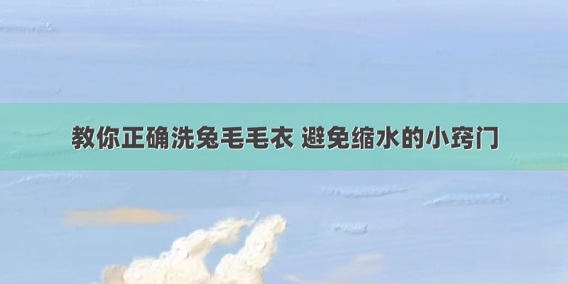 教你正确洗兔毛毛衣 避免缩水的小窍门