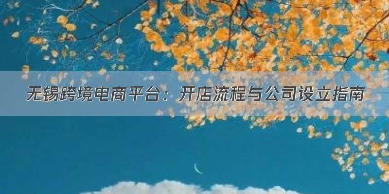 无锡跨境电商平台：开店流程与公司设立指南