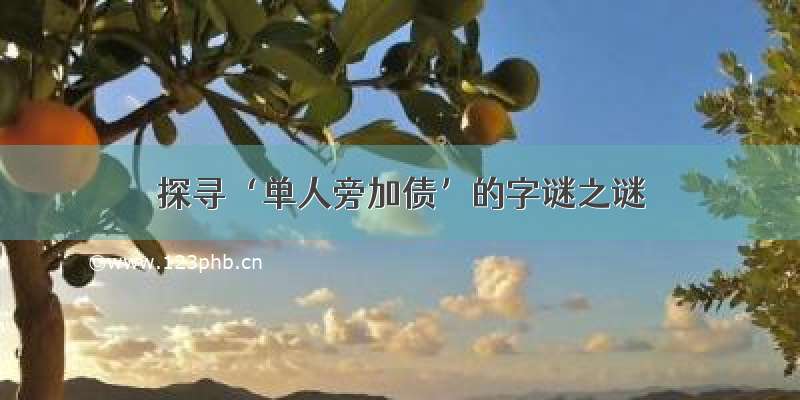 探寻‘单人旁加债’的字谜之谜