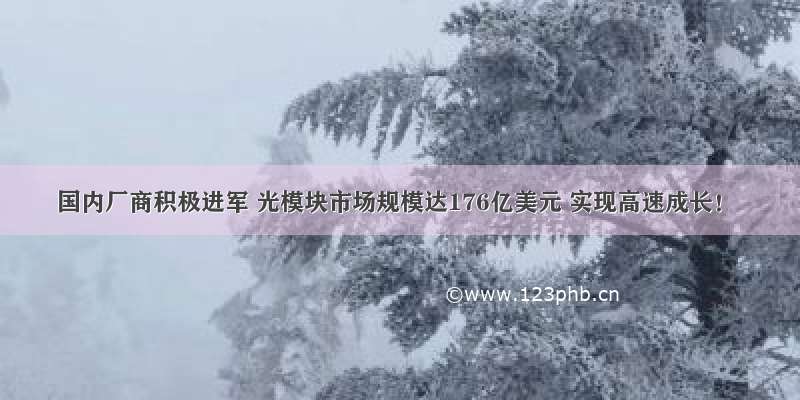 国内厂商积极进军 光模块市场规模达176亿美元 实现高速成长！