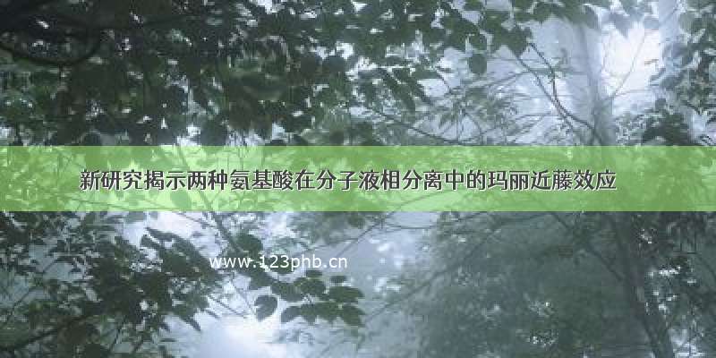 新研究揭示两种氨基酸在分子液相分离中的玛丽近藤效应