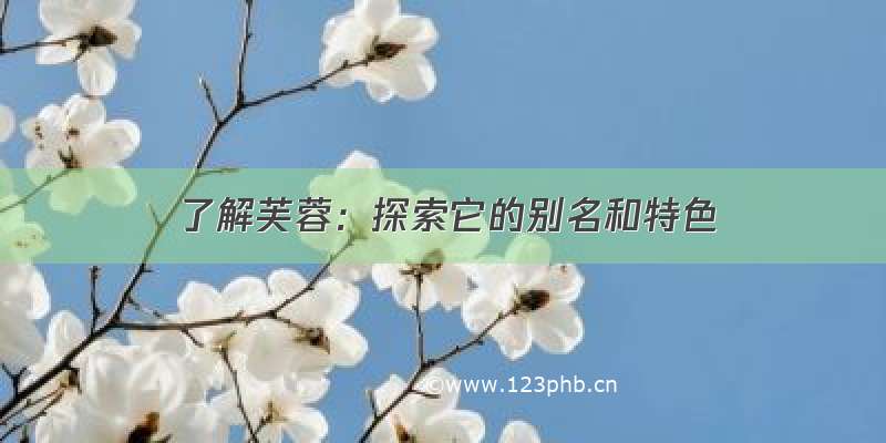 了解芙蓉：探索它的别名和特色