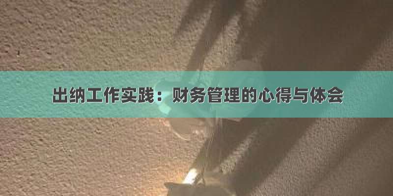 出纳工作实践：财务管理的心得与体会