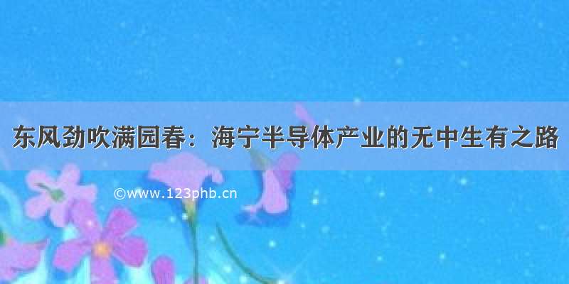 东风劲吹满园春：海宁半导体产业的无中生有之路