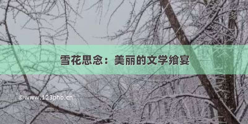 雪花思念：美丽的文学飨宴