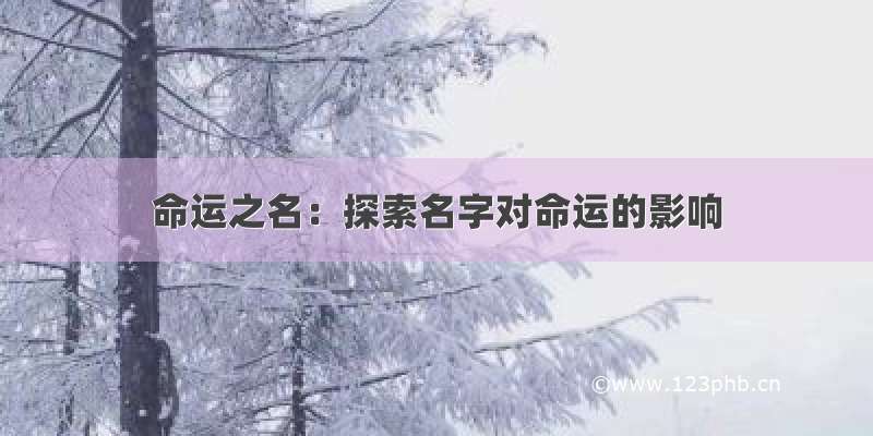 命运之名：探索名字对命运的影响