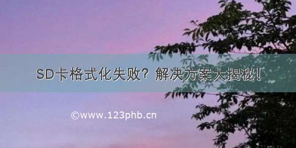 SD卡格式化失败？解决方案大揭秘！