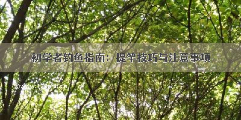 初学者钓鱼指南：提竿技巧与注意事项