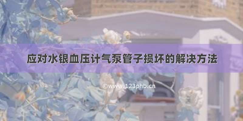 应对水银血压计气泵管子损坏的解决方法