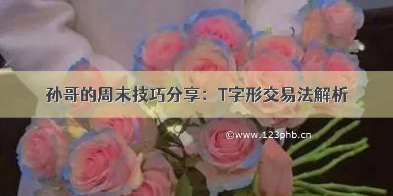 孙哥的周末技巧分享：T字形交易法解析