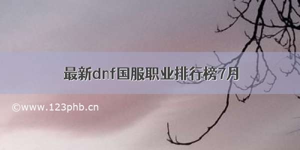 最新dnf国服职业排行榜7月