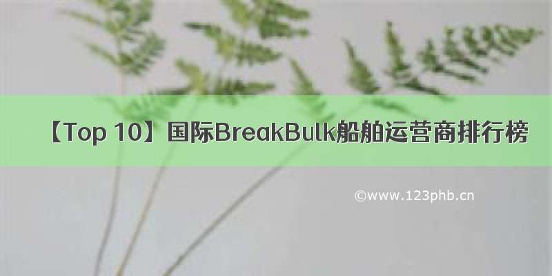 【Top 10】国际BreakBulk船舶运营商排行榜