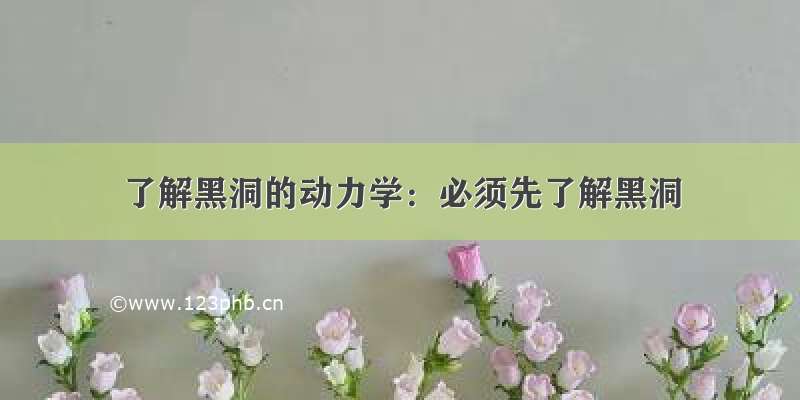 了解黑洞的动力学：必须先了解黑洞