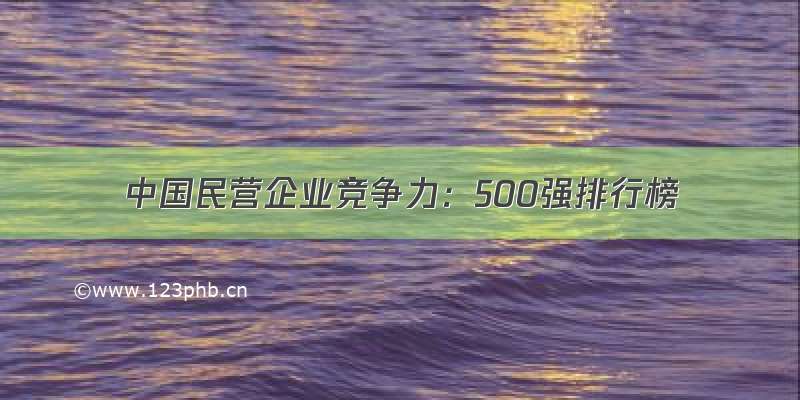 中国民营企业竞争力：500强排行榜