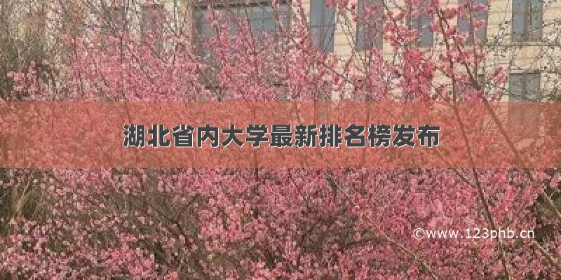 湖北省内大学最新排名榜发布