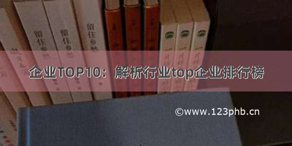 企业TOP10：解析行业top企业排行榜