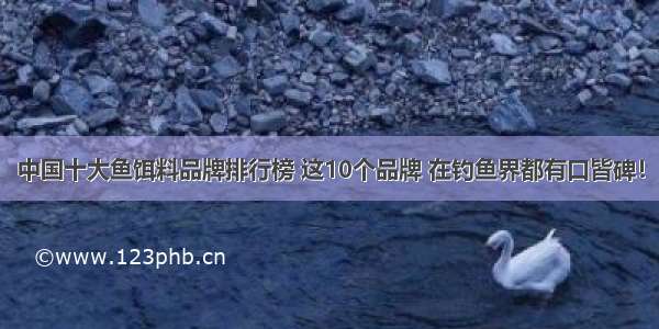 中国十大鱼饵料品牌排行榜 这10个品牌 在钓鱼界都有口皆碑！