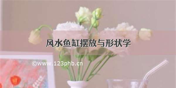 风水鱼缸摆放与形状学